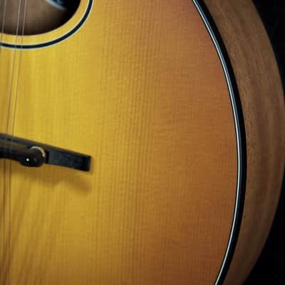 Eastman PCH M104-GB Goldburst A-Style Flattop Oval Hole Mandolin image 11