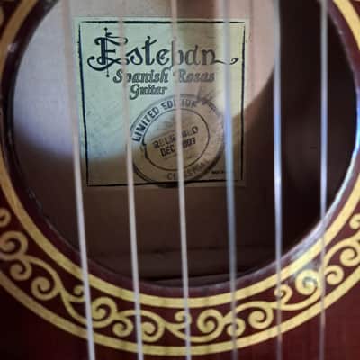 Esteban Limited Edition Spanish Rosas A/E Classical Guitar image 6