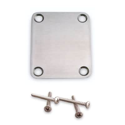 Callaham Satin Stainless Steel Neck Plate, No Serial Number, with 4 Callaham Neck Plate Screws
