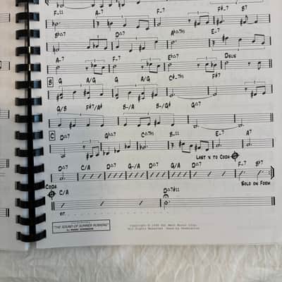 Pat Metheny Beal Book: Artist Edition- Autographed image 7