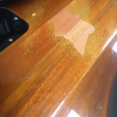Gibson Firebird V 2015 Vintage Sunburst RARE! image 15