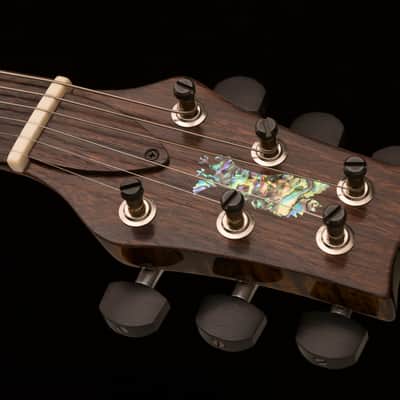 PRS John Mayer  "Super Eagle" Prototype Auction To Benefit Johns Hopkins Kimmel Cancer Center image 8