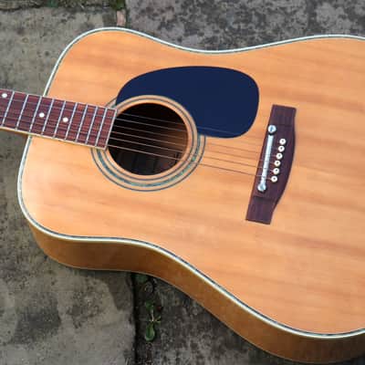 Rare Old Ventura MIJ All Maple (Matsumoku or Suzuki Factory) image 1