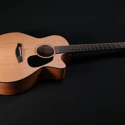Furch Blue Deluxe Gc-CM 12 Cutaway 12 string, Bevel Duo image 2