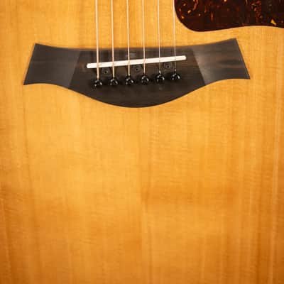 Taylor 214ce Grand Auditorium Acoustic/Electric Guitar with Gig Bag image 9