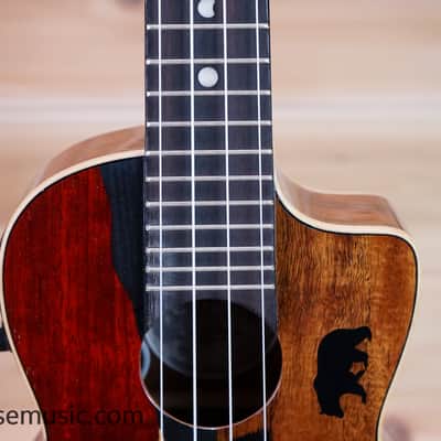 Luna Vista Bear Concert Acoustic-Electric Ukulele image 3