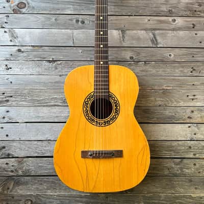 Folk Acoustic Guitar Clarissa Polverini Eko FiestaP1 P2 P10 image 2