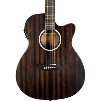 Washburn Deep Forest Ebony ACE Acoustic-Electric Guitar Natural Matte (B-Stock) image 1