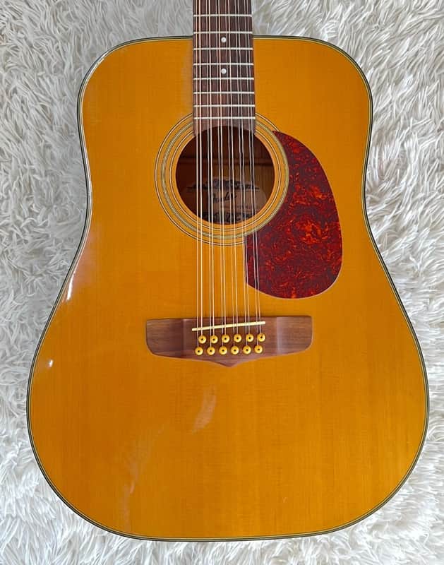 Fender Santa Maria, 12 string Acoustic Dreadnought Size Guitar w/ hardshell Case image 1