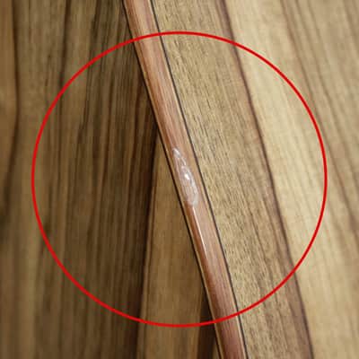 2017 S.F. Allen Custom USA Western Cedar / Black Limba Nylon String Guitar w/ Case image 25