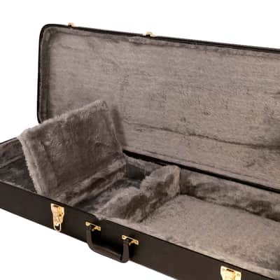 Gold Tone HDE Electric Banjo (EBT/EBM/ES) Case image 6