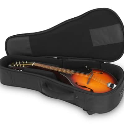 Access Bags and Cases Stage Three Mandolin Bag image 3