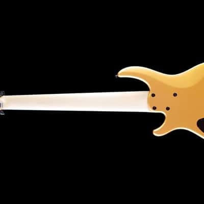 Dingwall NG3 Adam "Nolly" Getgood Signature 6-String Matte Gold Metallic image 3