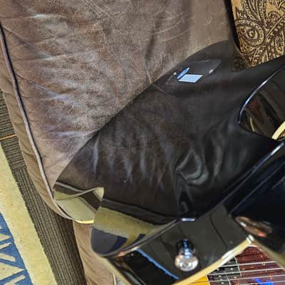 ESP LTD TL-12 Thinline Acoustic-Electric Guitar, 12-String image 12