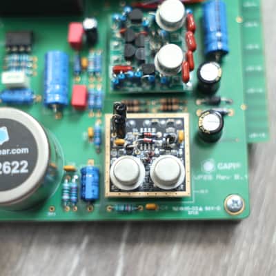 CAPI VP28 DBL2 Plus Extra Op Amp image 14