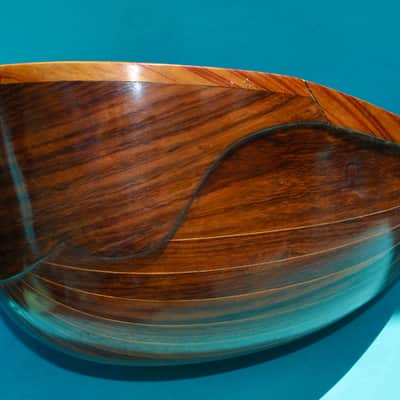 Vintage 1925 Prof. Raffaele Calaci Mandolin image 23