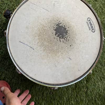 Tama Tamo Ash Snare 14x5 Silverstar Limited Edition image 6