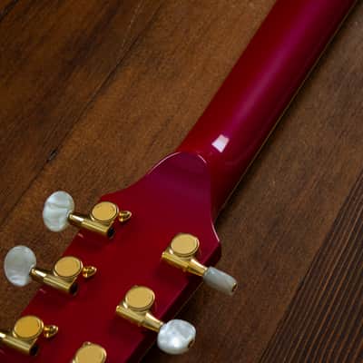 🇯🇵 1993 Fender Terry-1 Anniversary, Custom Edition, All Original, MIJ, Japan image 12