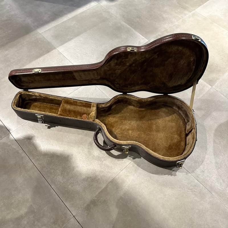 DeSalvo De Salvo custodia rigida per chitarra classica image 1