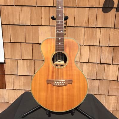 Alvarez 2551 12 String Limited Edition Silver Anniversary Model Gibson L-1 L-00 l-2 look-alike 5037 image 3