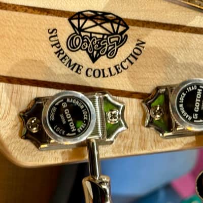 Oopeg Guitars Japan Supreme Colection Trailbreaker Mark I Lefty "Old Garage Stock"  NAMM Show 2026  Green Paisley image 13