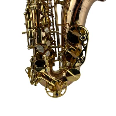 Yanagisawa AWO20UL Unlacquered Bronze Elite Alto Saxophone New In Box! image 10