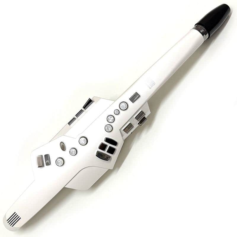 Roland USED ​​Roland Aerophone AE-10 image 1