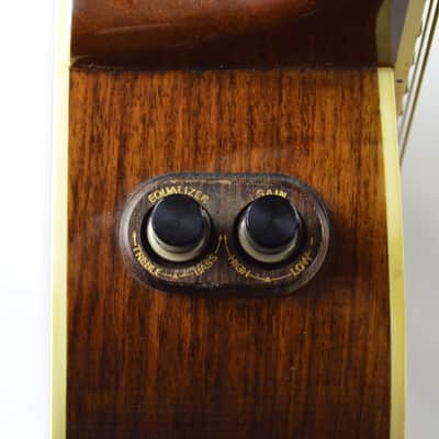 1982 Washburn Tanglewood Full Body EA45 Natural-Bob Dylan played one image 10