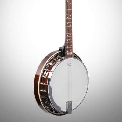 Epiphone Mayfair 5-String Banjo, Red Brown Mahogany image 4