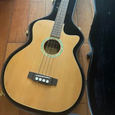 Demo video! Michael Kelly Club deluxe Acoustic Bass with hard case image 1