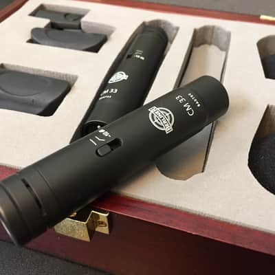 Pair of Berliner CM33 Small Diaphragm Condenser Mics image 1