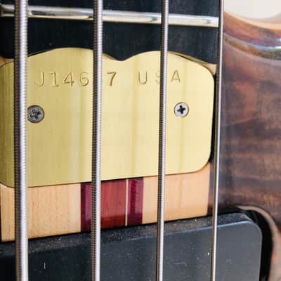 Alembic Alembic Darling Bass Flame Wallnut image 5