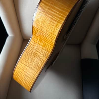 Kenny Hill 7 String Classical Cutaway Crossover Seven String image 8