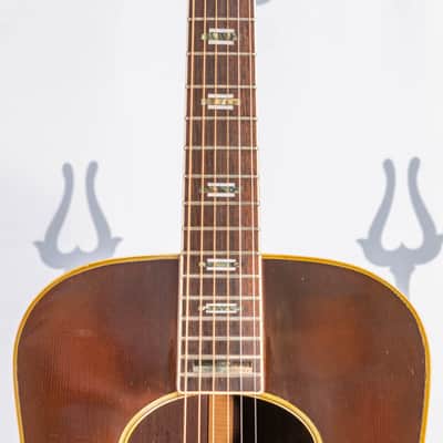 Daion B-55E Tobacco Sunburst "Snake Loaded" Japanese Market Model image 2