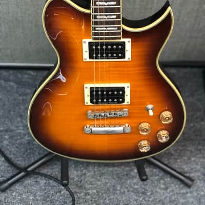 Washburn WI-66PROF Sunburst image 1