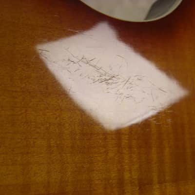 Epiphone Viola Bass Left Handed Lefty image 8