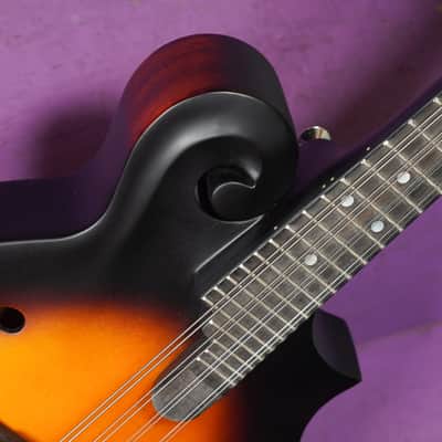 2020 Washburn M108SWK Carved F-Style Mandolin (VIDEO! Fresh Setup, Ready) image 5