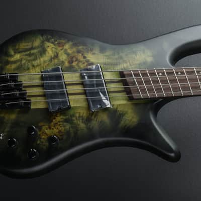 Spector NS Dimension 4 - Haunted Moss Matte image 1