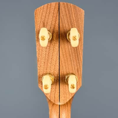 Pisgah Dobson 11" 5-String Banjo with Walnut Rim and Neck, Persimmon Fretboard image 15