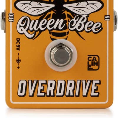 Caline CP-503 Queen Bee Overdrive Player Favorite  Fast US Ship