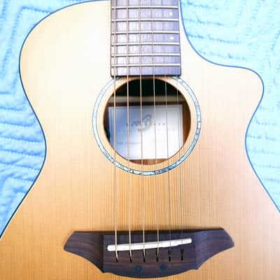 Breedlove Atlas C25 Passport Travel Acoustic-Electric Guitar