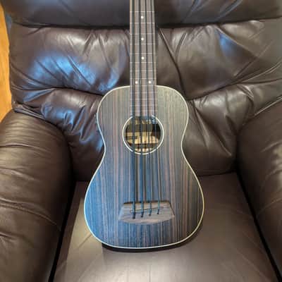 Kala U-Bass Fretless Striped Ebony with Bag image 1
