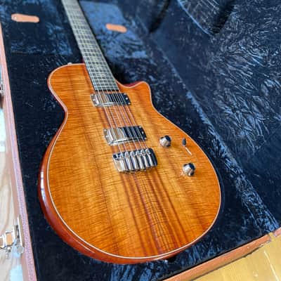 Taylor Custom Solidbody Electric Guitar image 2