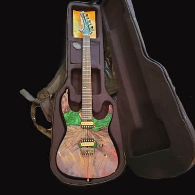 Leo Jaymz Monsoon Deluxe Electric Guitar – Burl & Resin Finish + Case – Pro Setup image 4