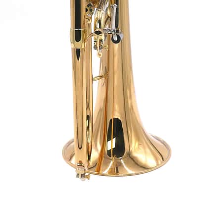 S.E. Shires SOLO Custom Bb Flugelhorn in Lacquer image 12