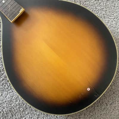Honey Burst 8 String Mandolin Project, Spruce Top, Mahogany Body, Rosewood Fingerboard image 6