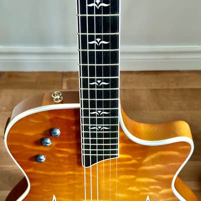 Taylor T5 image 6