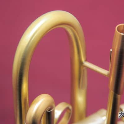 LOTUS Classic B♭ Trumpet (New) image 14
