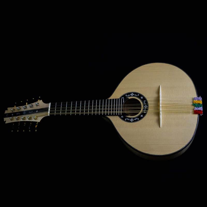 Pedro Santos 10-String Mandolin with VS Tuners | Brazil (Dudu Maia Model) image 1
