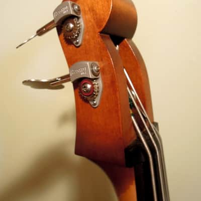 Alter Ego BASSO, hollow-body upright bass image 2